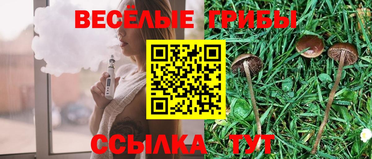 Приморско-Ахтарск  Галлюциногенные грибы мухоморы  Вход с VPN 
